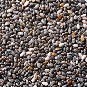 Black Chia Seeds Organic