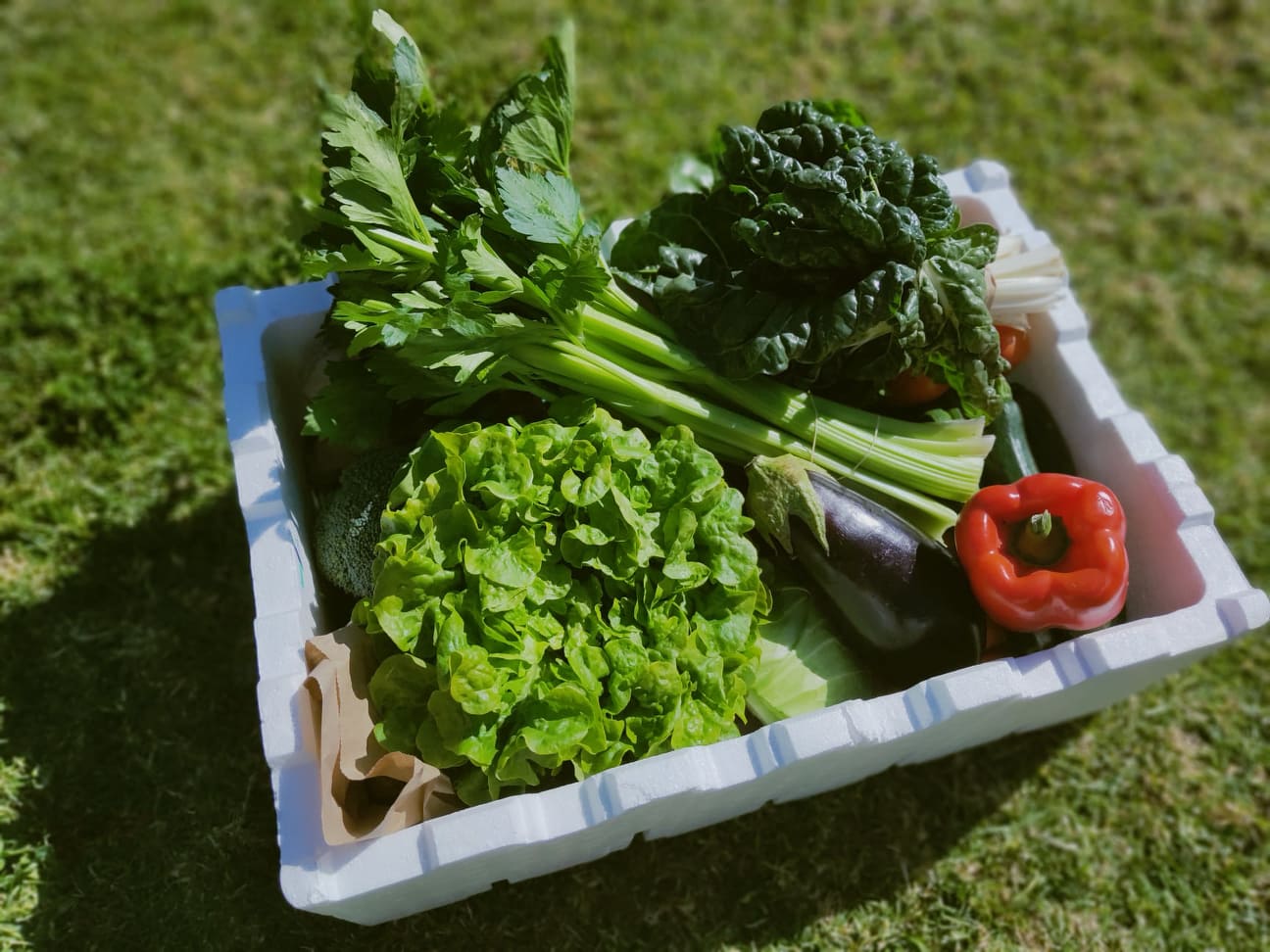 Mini Vegetable Box