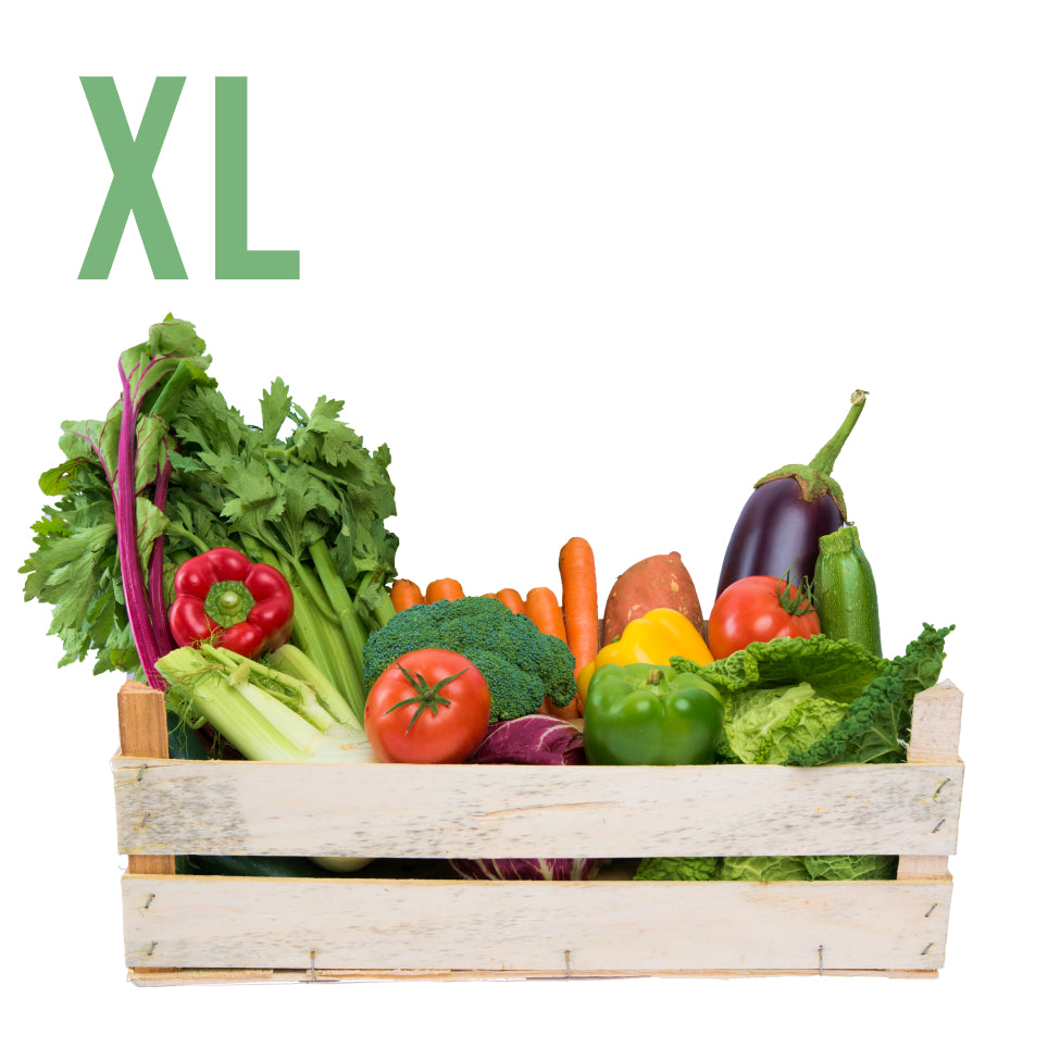 Extra Large Vegetable Box