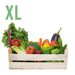 Load image into Gallery viewer, Extra Large Vegetable Box
